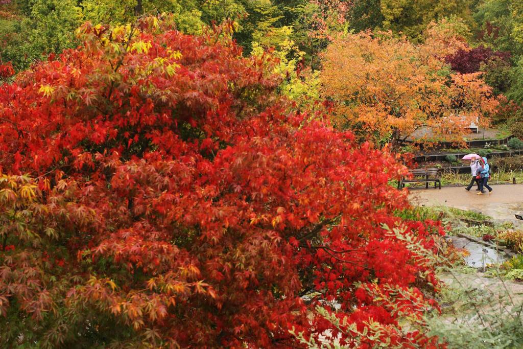 This Weekend Should Be Peak Leaf Season In The NC Mountains